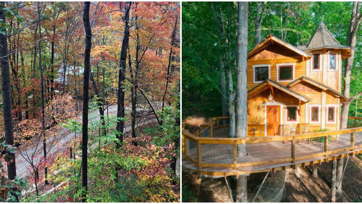North Carolina Airbnb In The Blue Ridge Mountains Is A Magical Experience