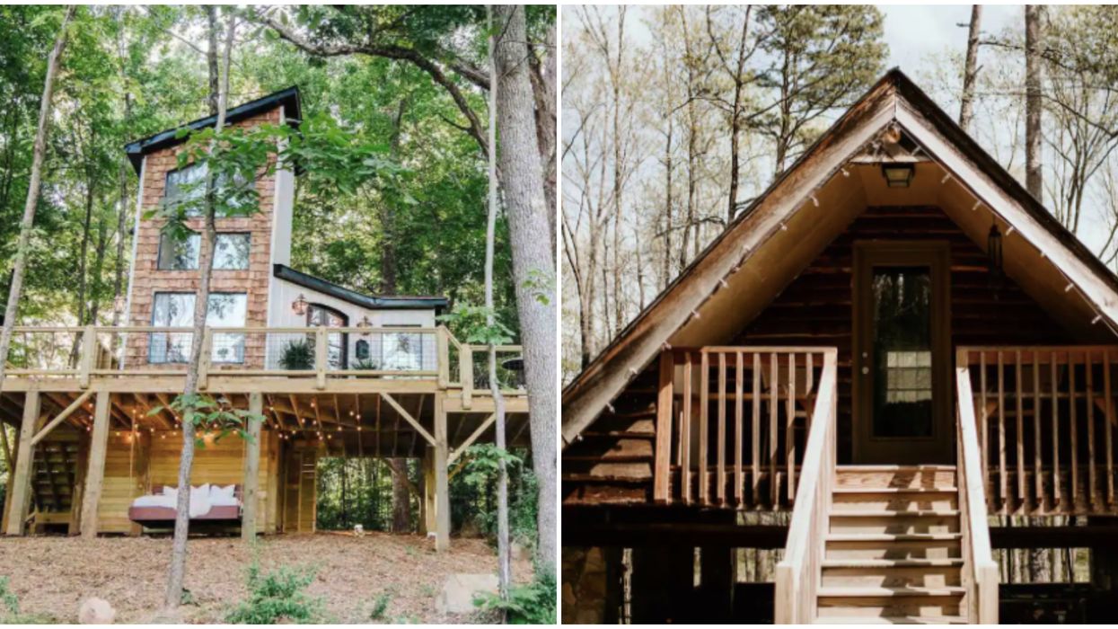 North Carolina Airbnbs Near Charlotte Cabins That Are Perfect For The Fall Season