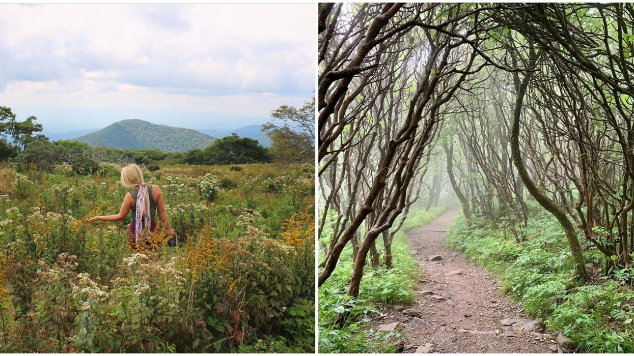 North Carolina Hiking Trail Craggy Gardens Trail Is An Enchanting Adventure