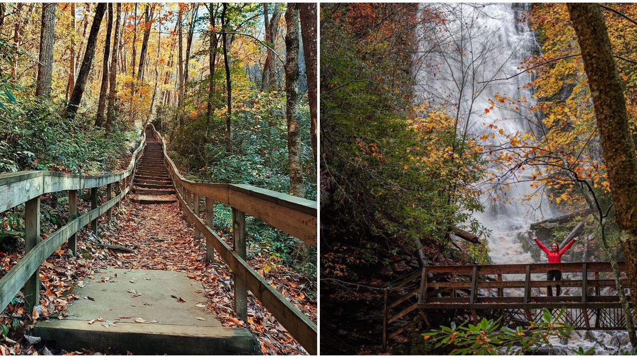 North Carolina Waterfall Hike Mingo Falls Will Satisfy Your Wanderlust