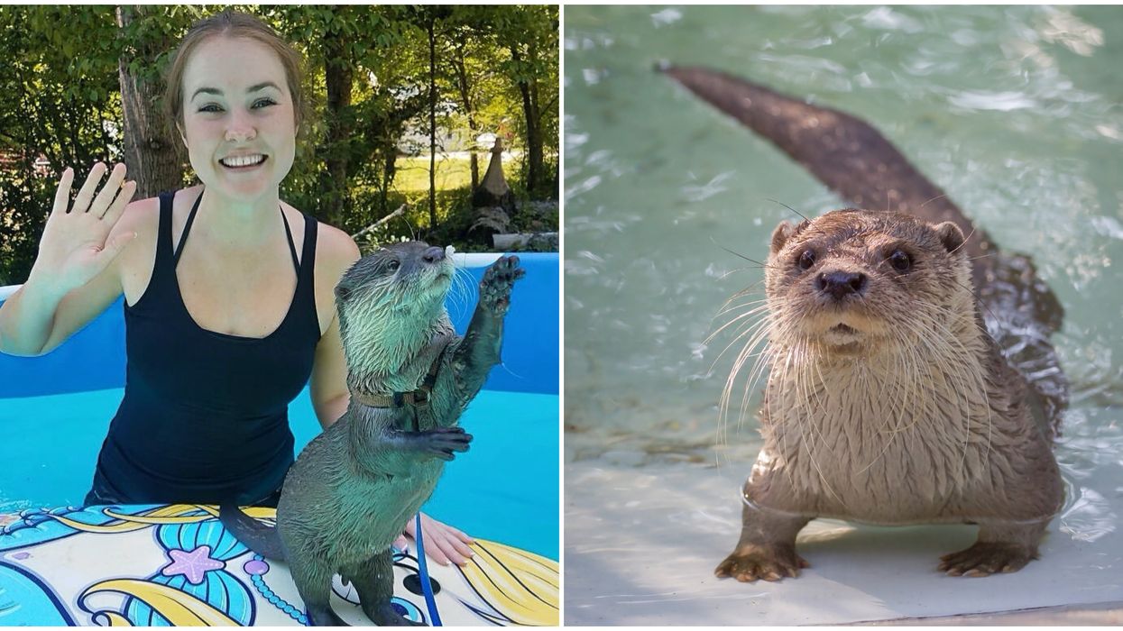 North Georgia Wildlife Park & Zoo Southeast USA