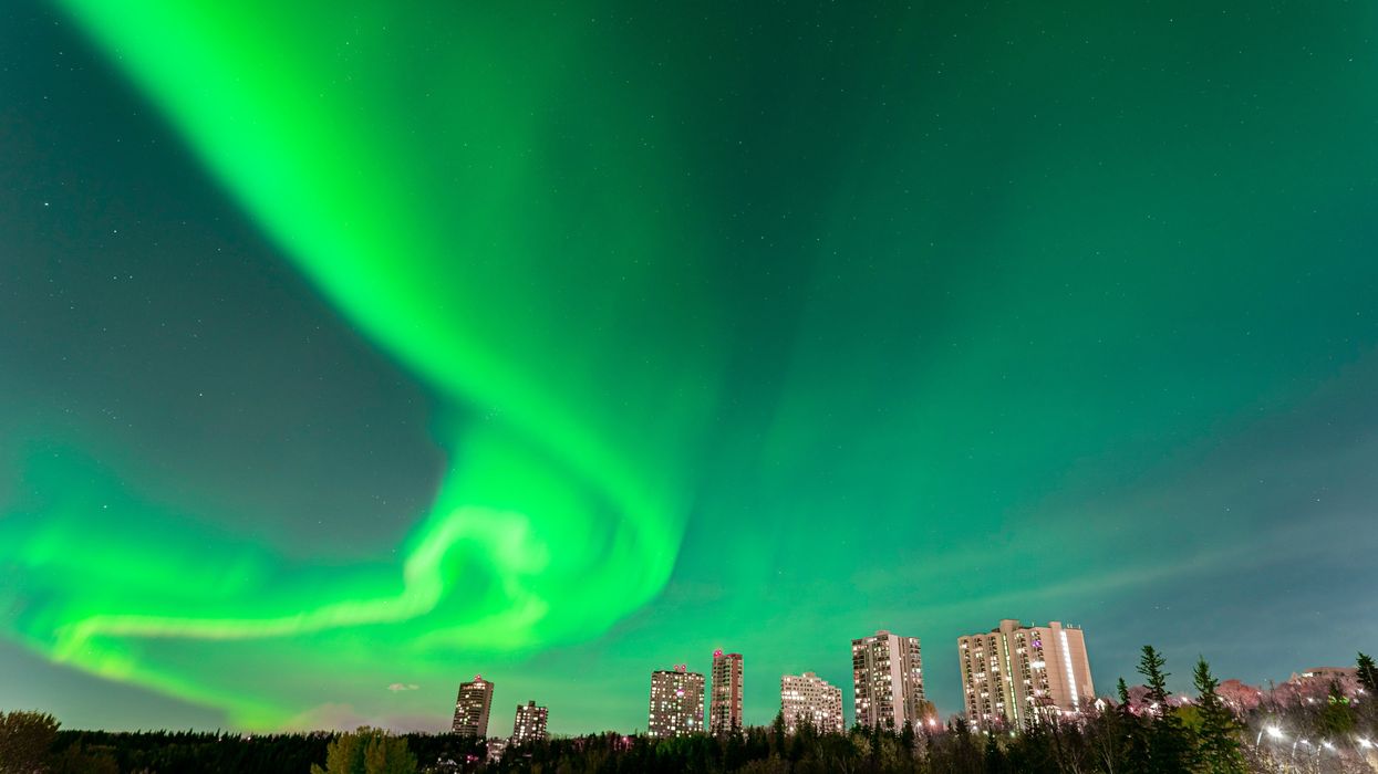 Northern lights in the sky above Edmonton.