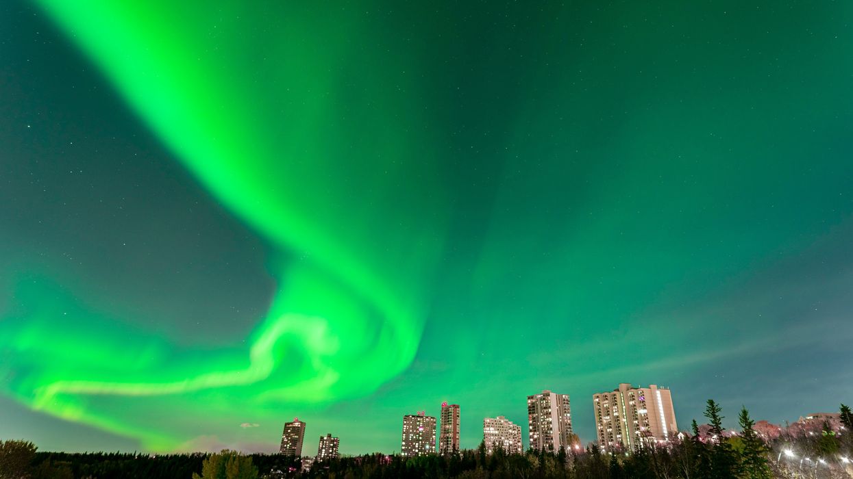 northern lights in the sky above tall buildings in edmonton