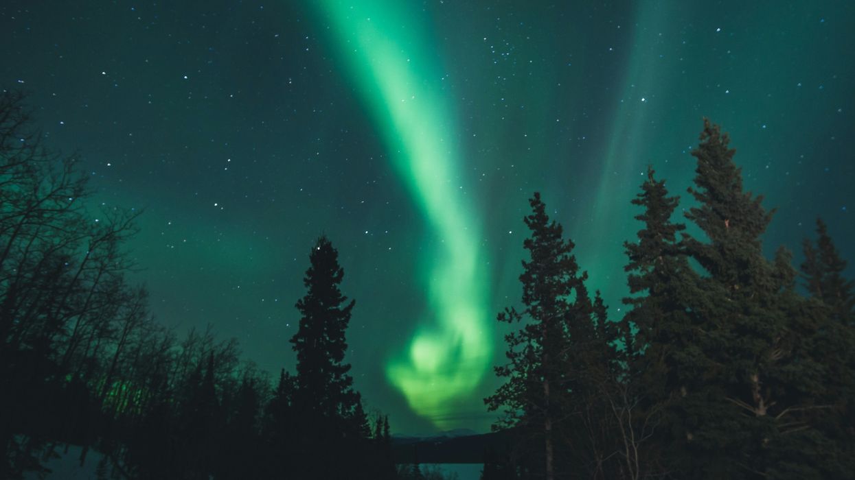 northern lights in the sky over canada