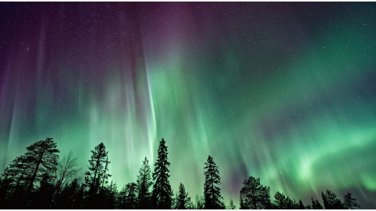 Northern Lights Over Washington Tonight Will Be A Dazzling Display
