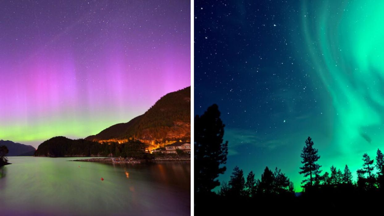 Northern lights visible from B.C. Right: Northern lights seen from a forest.