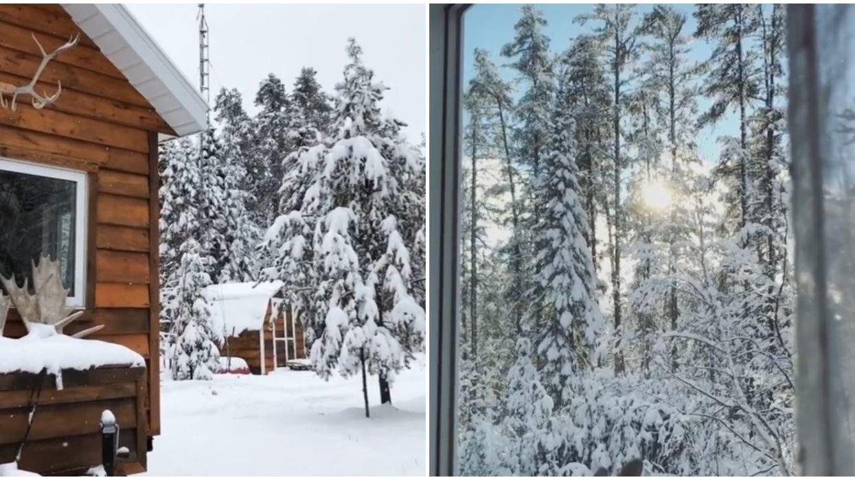 Northern Ontario's Snow Looks Like A Winter Wonderland Right Now (PHOTOS)