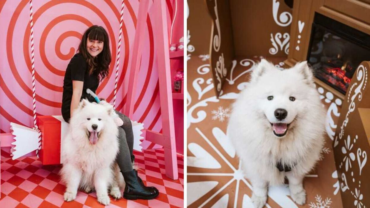 Nougat et Thara prennent la pose au photobooth de Noël du Centre Eaton.