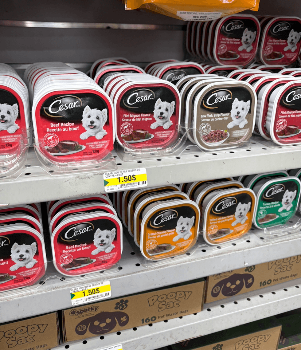 Nourriture humide pour chiens de la marque Cesar sur les tablettes du Dollarama.