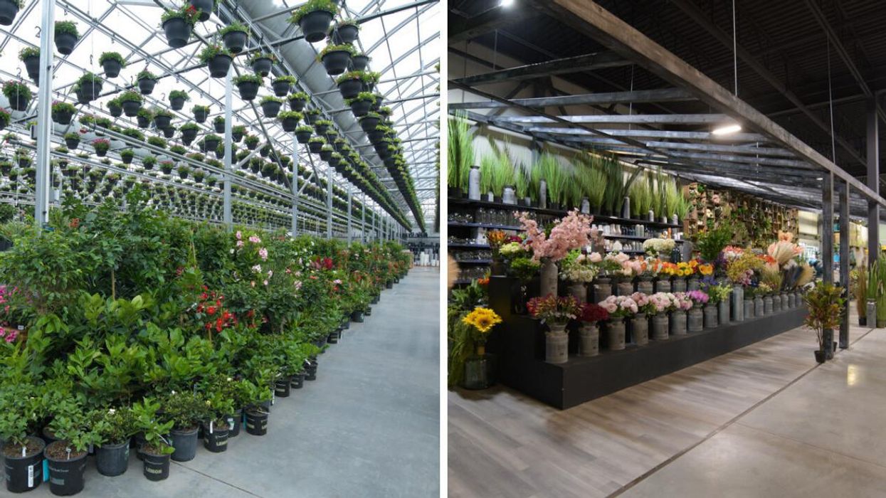 Nouvelle boutique de plantes Archipel.