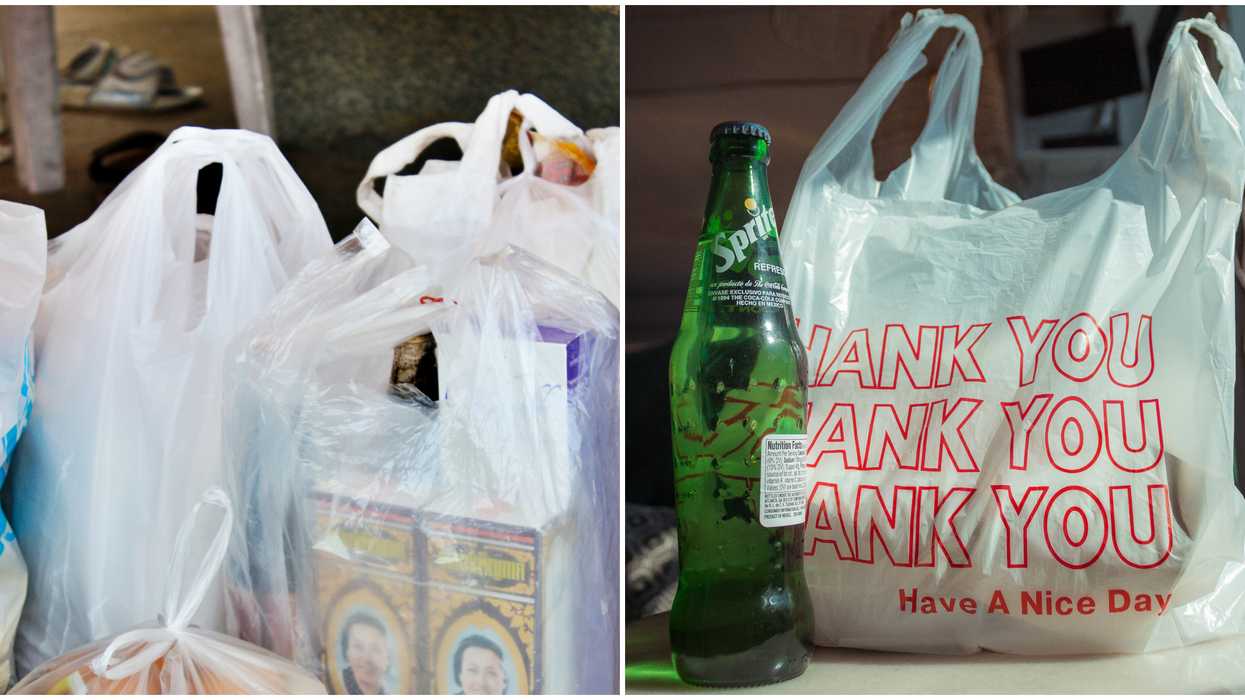 Nova Scotia Plastic Bag Ban Is Now Officially In Effect Across The Province