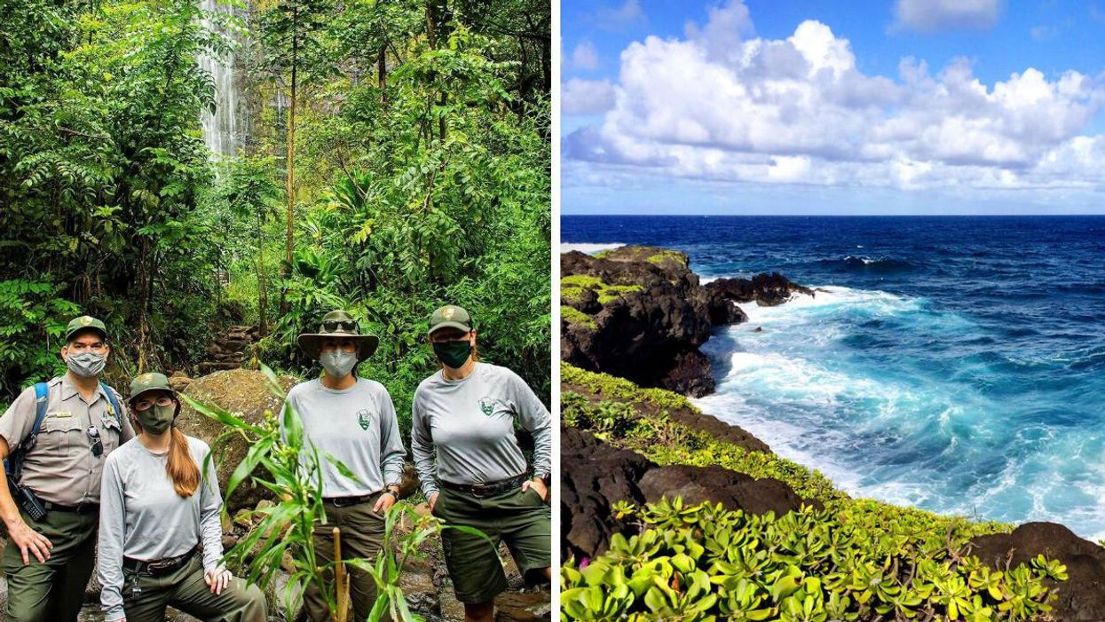 NPS employees stand in the rain forest in Maui. Right: The coast of the Kīpahulu District in Haleakala National Park.