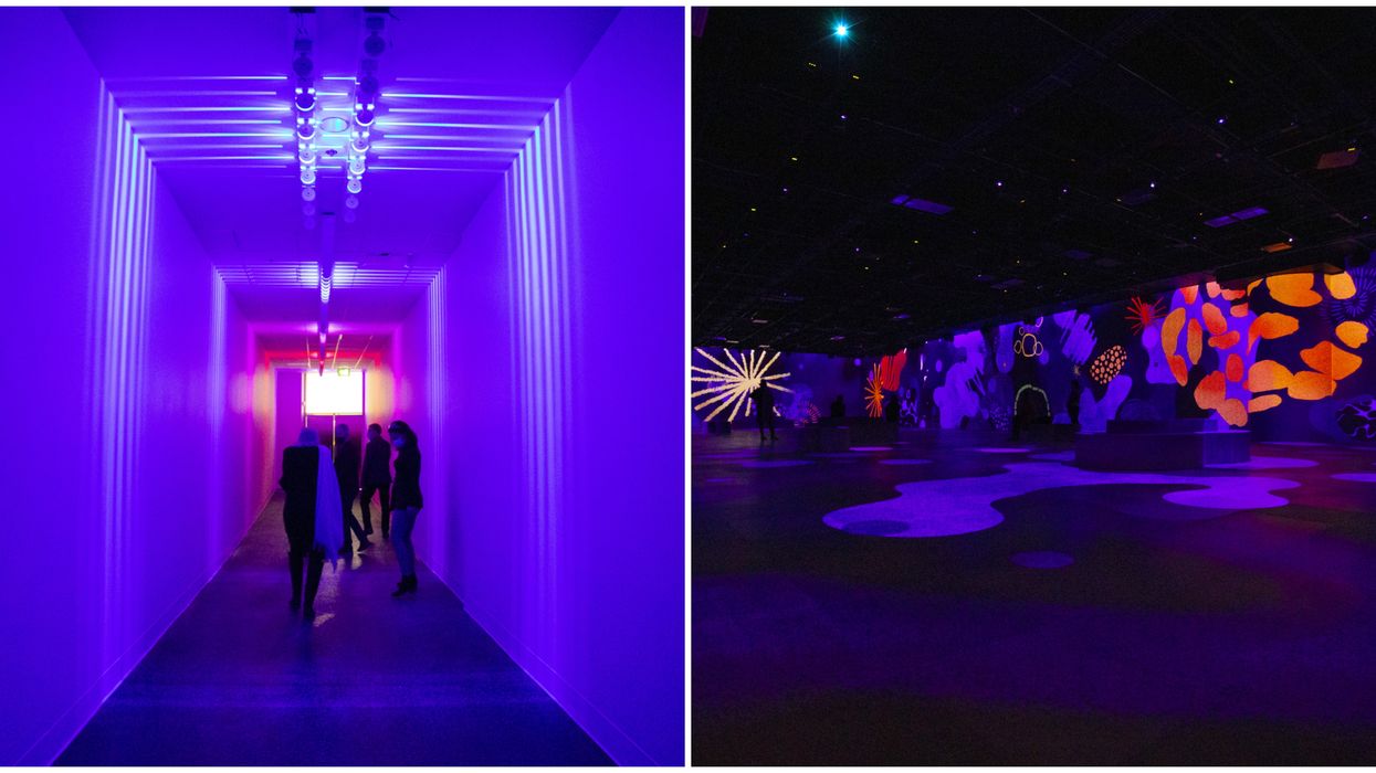 Oasis Immersion au Palais des congrès de Montréal