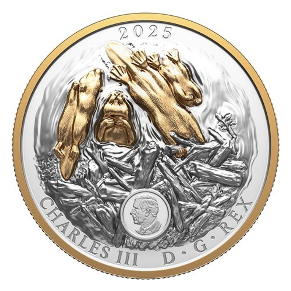 obverse side of the beaver fine silver coin