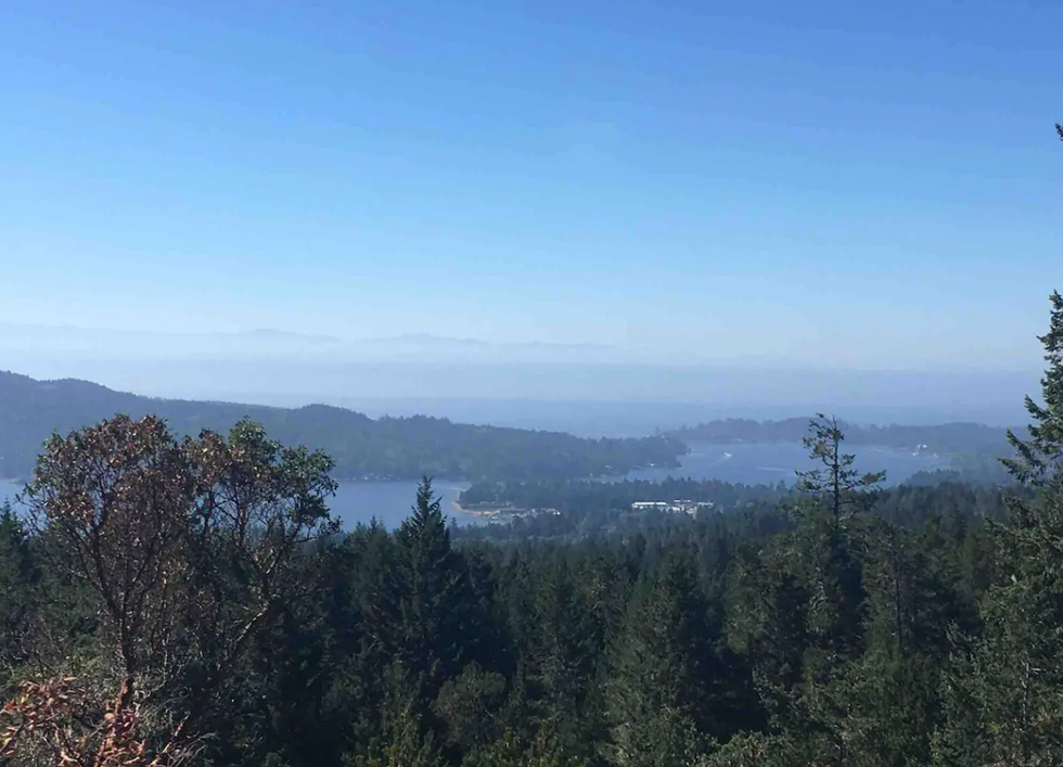 Ocean views over the trees.