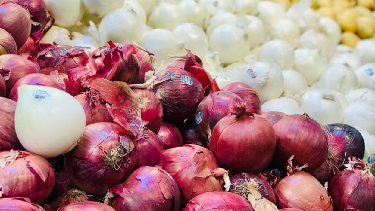 Oignons contaminés à la salmonellose : 379 cas confirmés au Canada