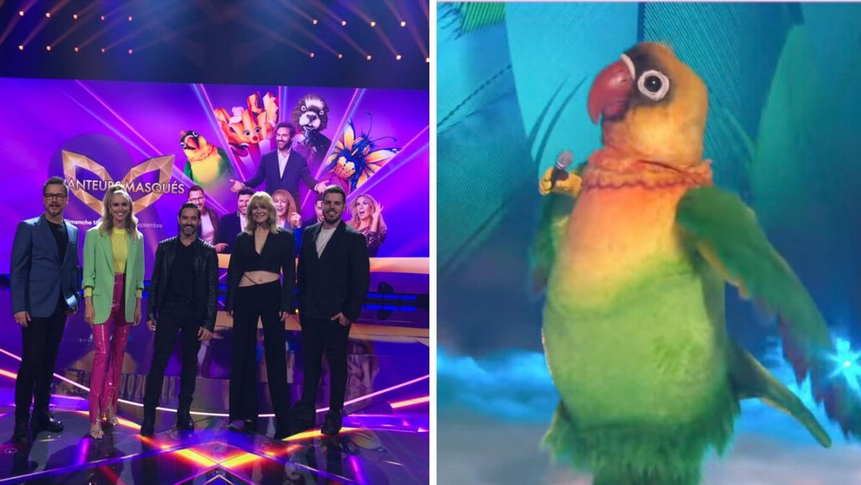 On a vu le premier épisode de «Chanteurs masqués» en primeur et voici à quoi t'attendre