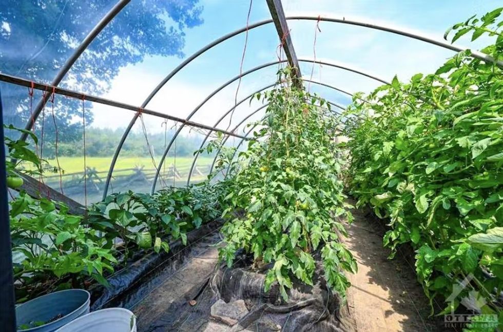 One of the property's greenhouses.