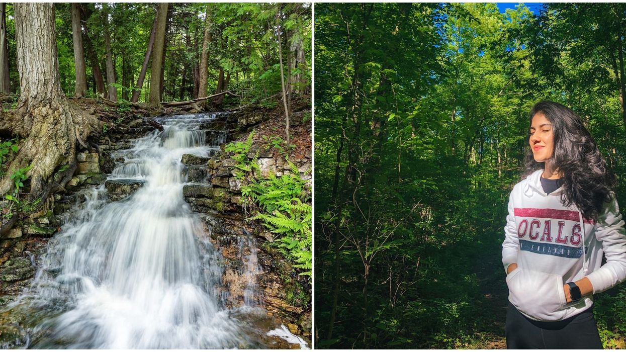 Ontario Conservation Area Takes Peaceful Forest Walks To A Whole New Level