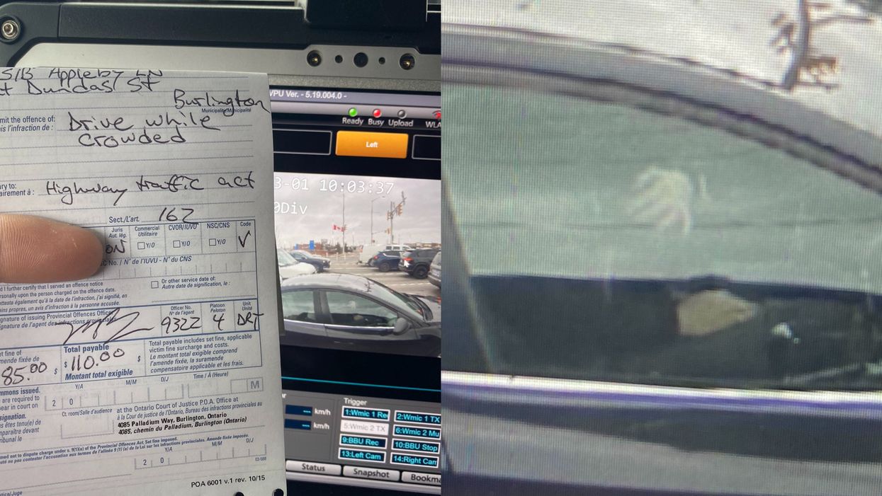 Ontario Diver Got Fined $110 For Driving With A Dog In Their Lap