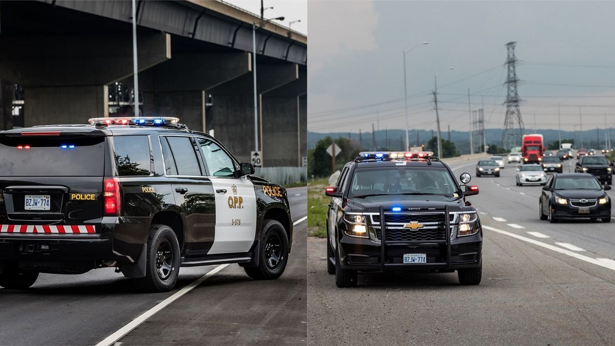 Ontario Dog Attack Has Reportedly Killed A Teenager