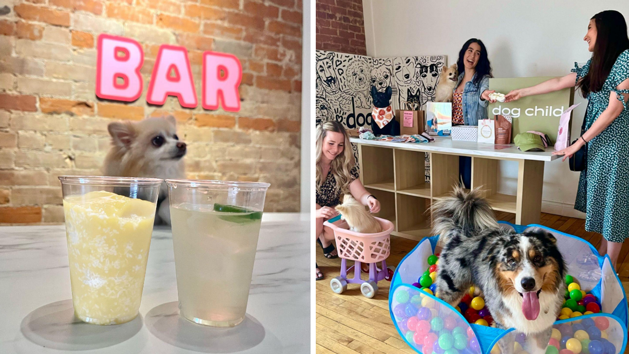 Ontario Doggos summer market.