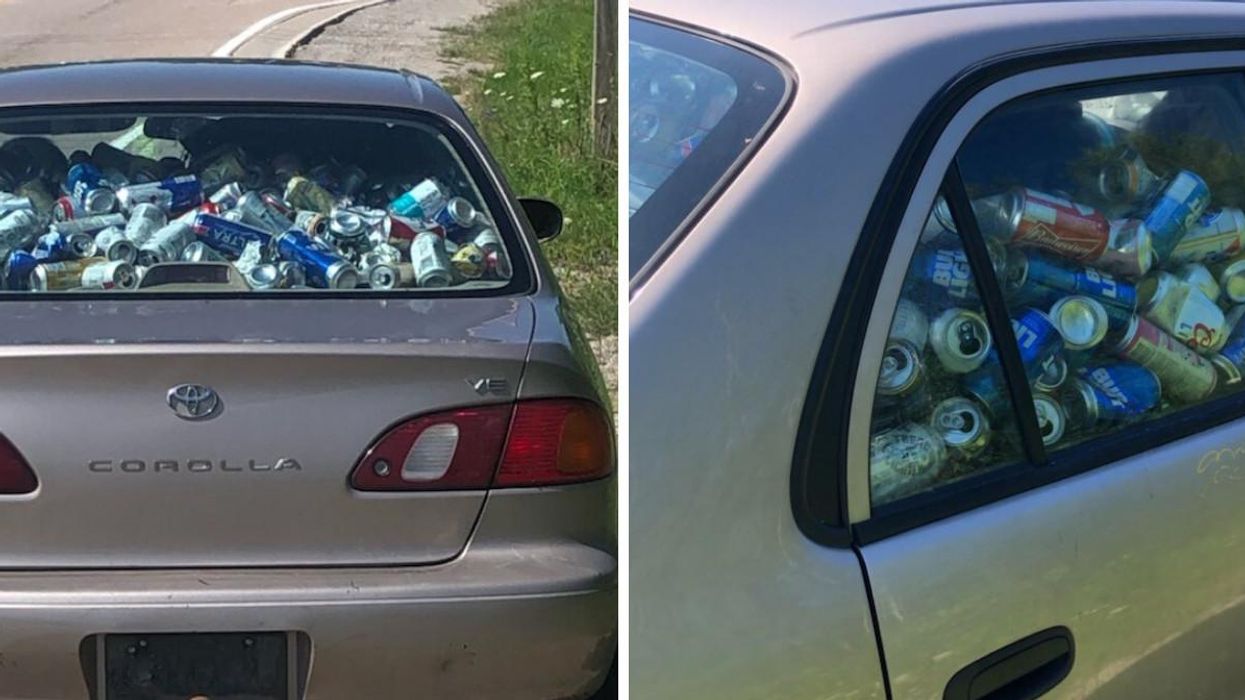 Ontario Driver Caught On Highway With Massive Pile Of Beer Cans