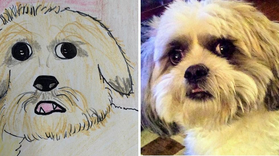 Ontario Humane Society Will Draw Your Pet Badly For Charity