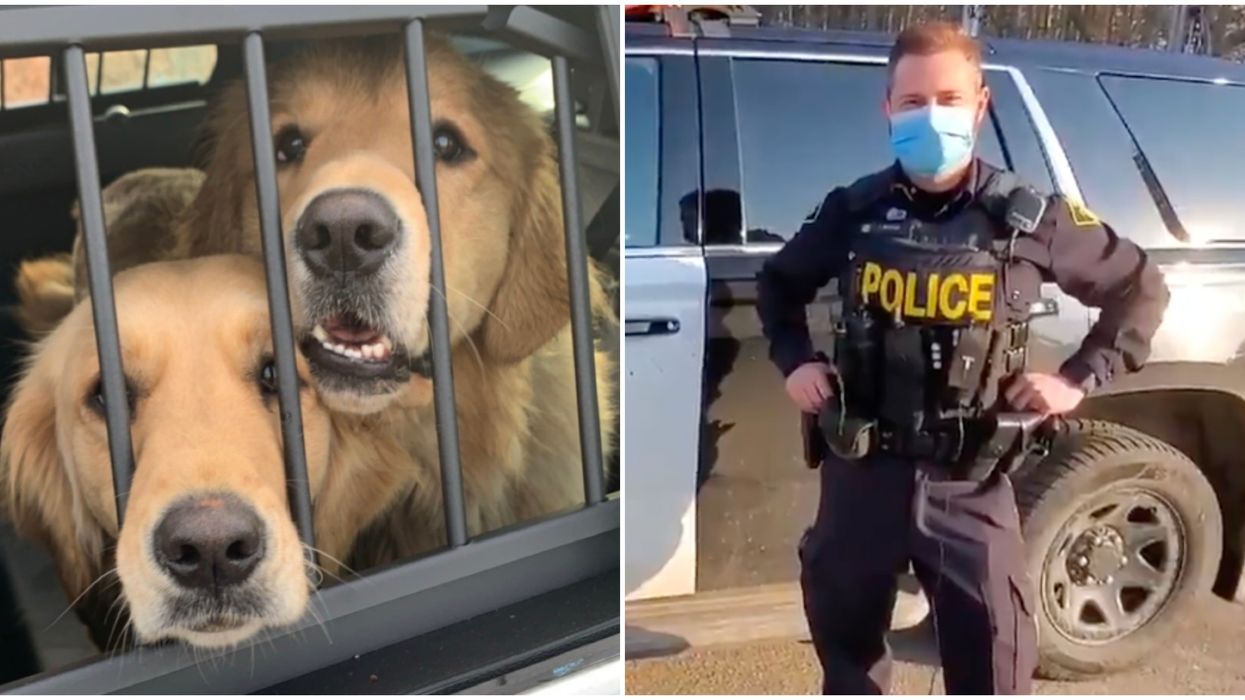 Ontario Police Catch 2 Bad Bois On The Run & They're Waiting To Get Bailed Out