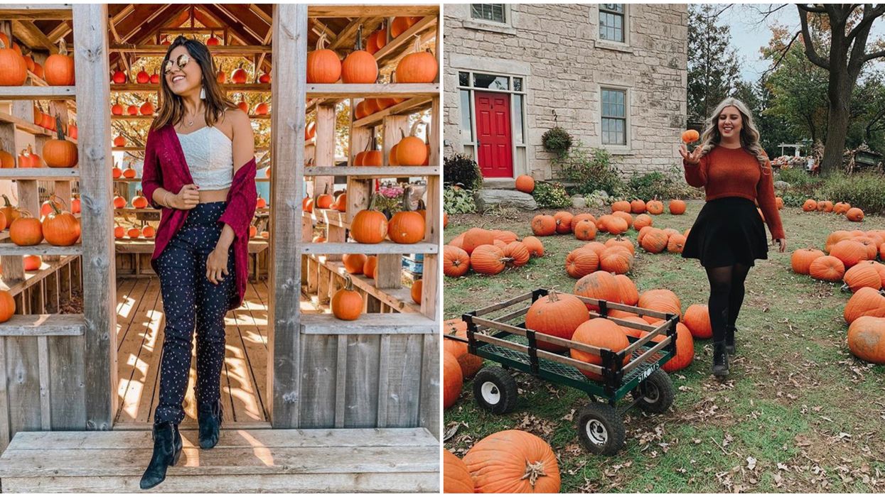 Ontario Pumpkin Patches That Are So Cute You Won't Believe Your Pies