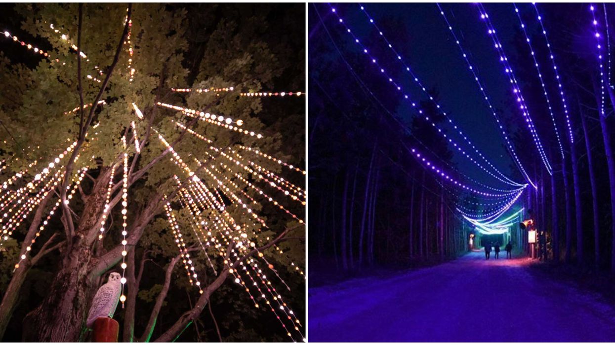 Ontario's AGORA Path Of Light Will Take You Along An Illuminated Mountain Trail