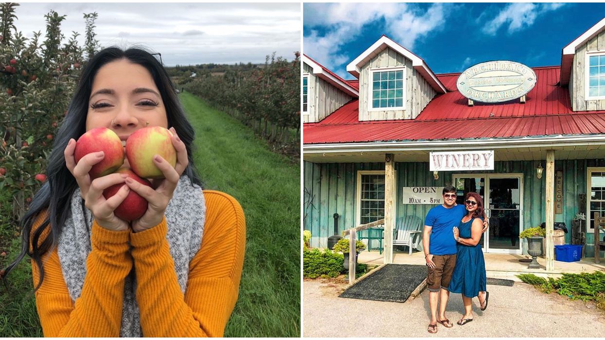 Ontario's Archibald's Orchards Is The Perfect Spot For A Secret Fall Date
