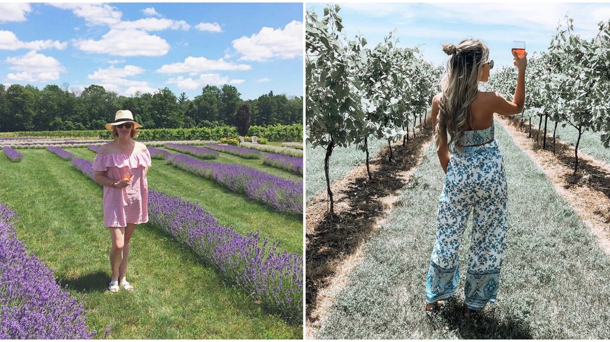 Ontario's Bonnieheath Estate Has Lush Vineyards & Purple Lavender Fields To Explore