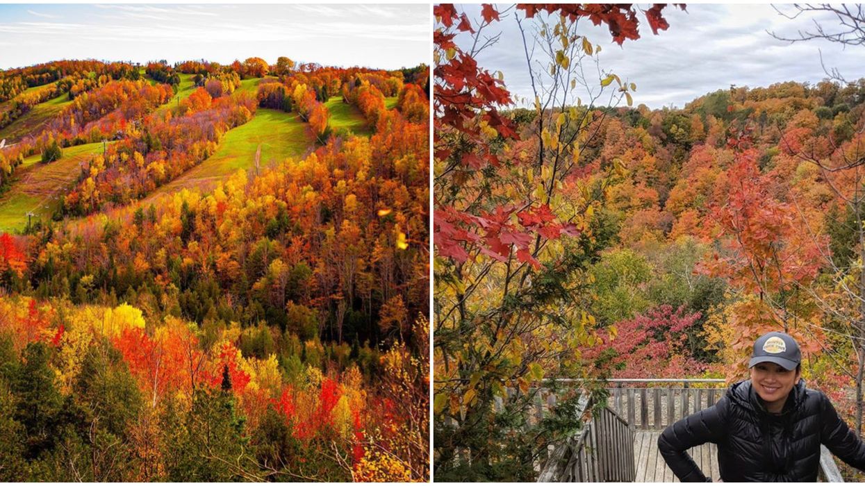 Ontario's Devil's Glen Fall Hike Has Views Of A Colourful Gorge