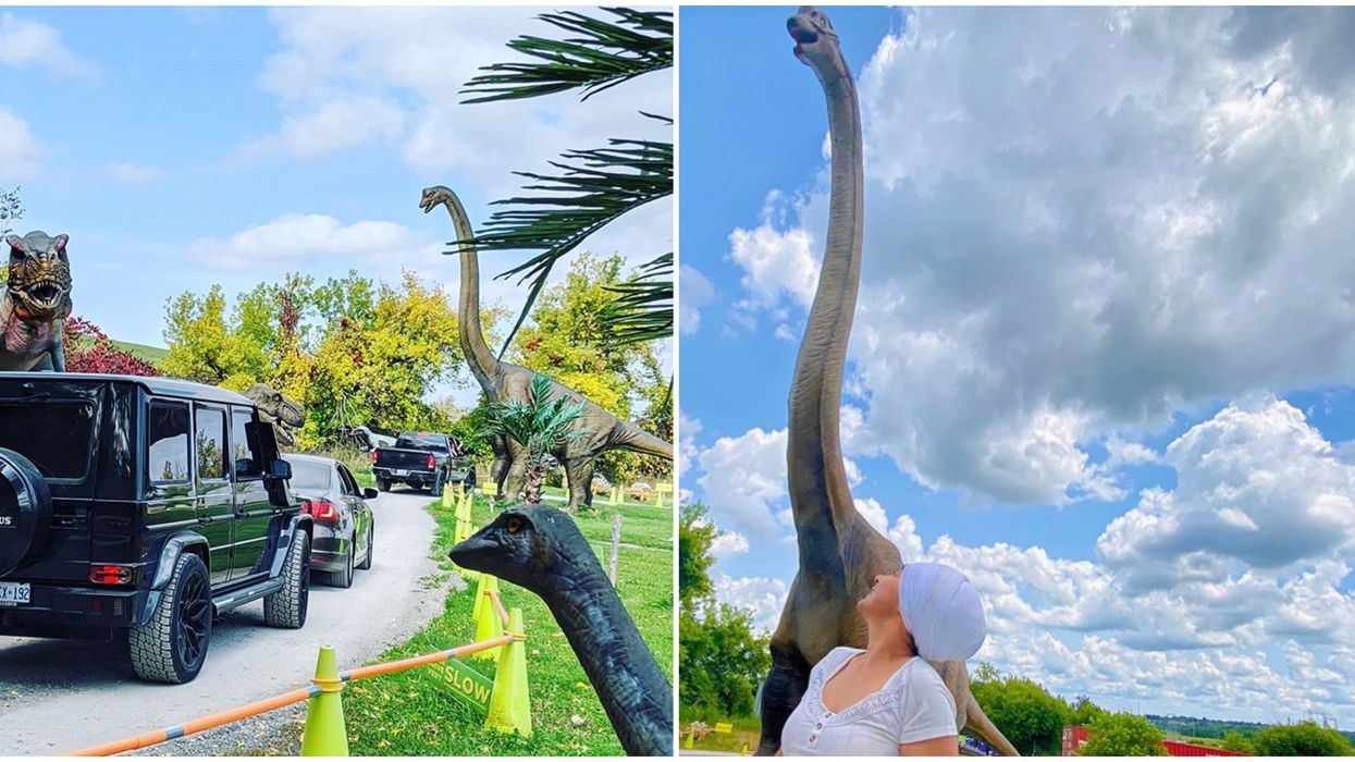 Ontario's Dinosaur Halloween Drive-Thru Is Like 'Jurassic Park' With A Spooky Twist
