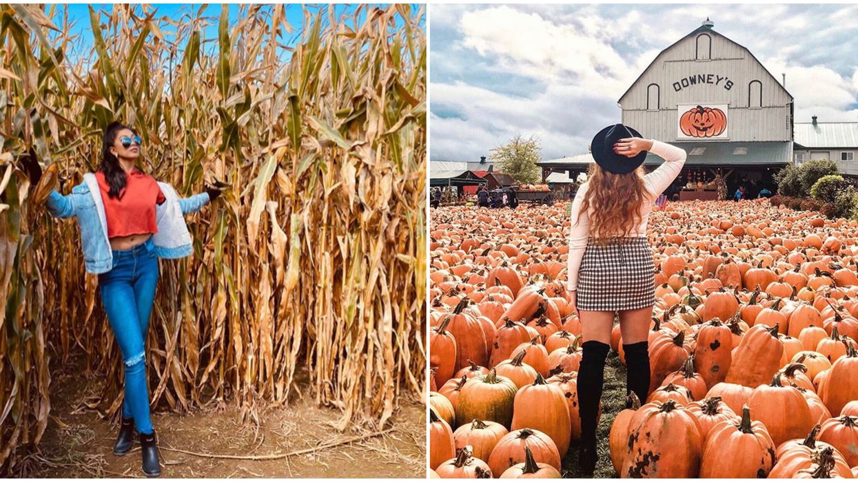 Ontario's Fall Activities You Need To Add To Your Bucket List