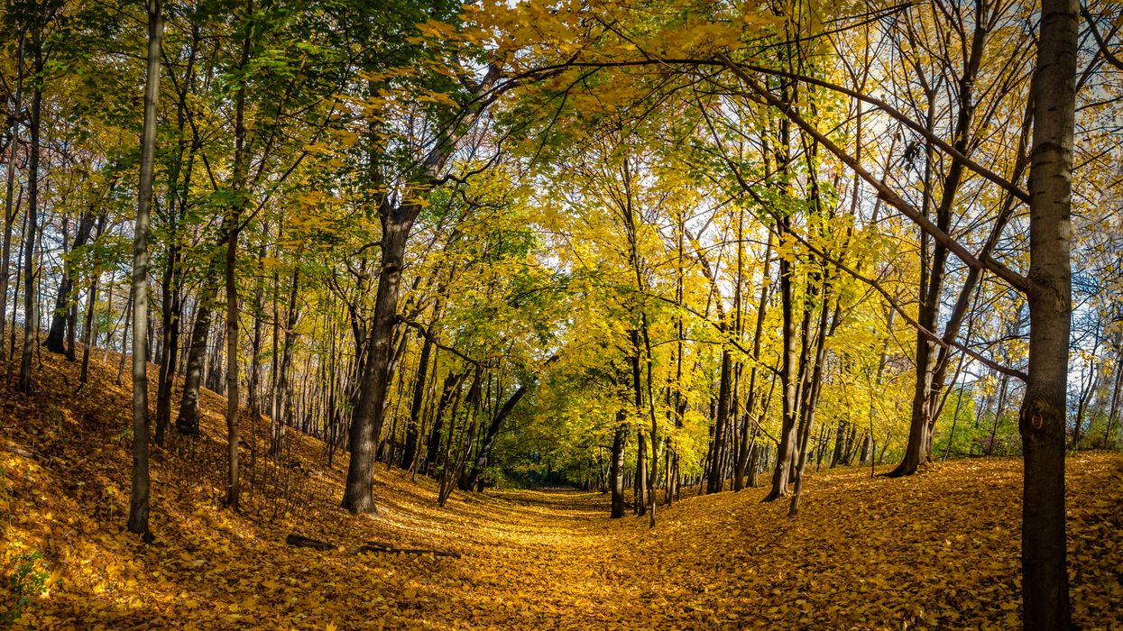 Ontario's Fall Forecast For 2020 Just Came Out & It's Going To Be Warm Until November
