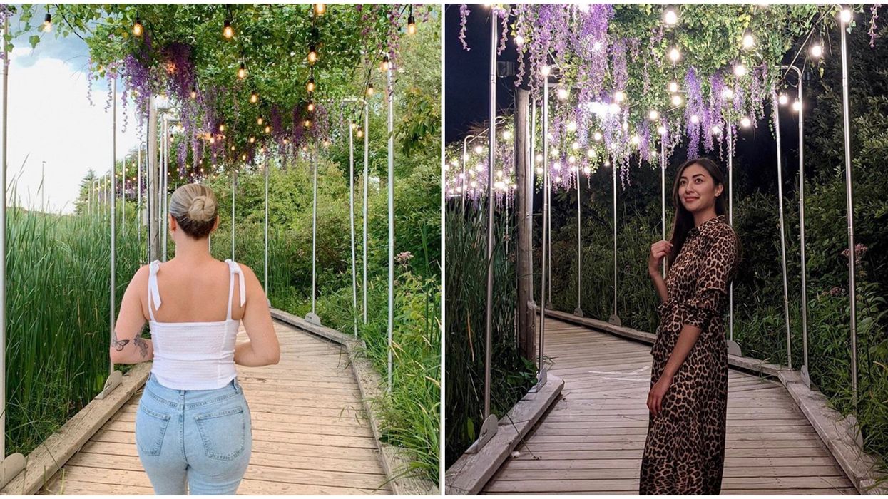 Ontario's Floral Canopy Boardwalk Will Make You Feel Like You’re In A Fairytale