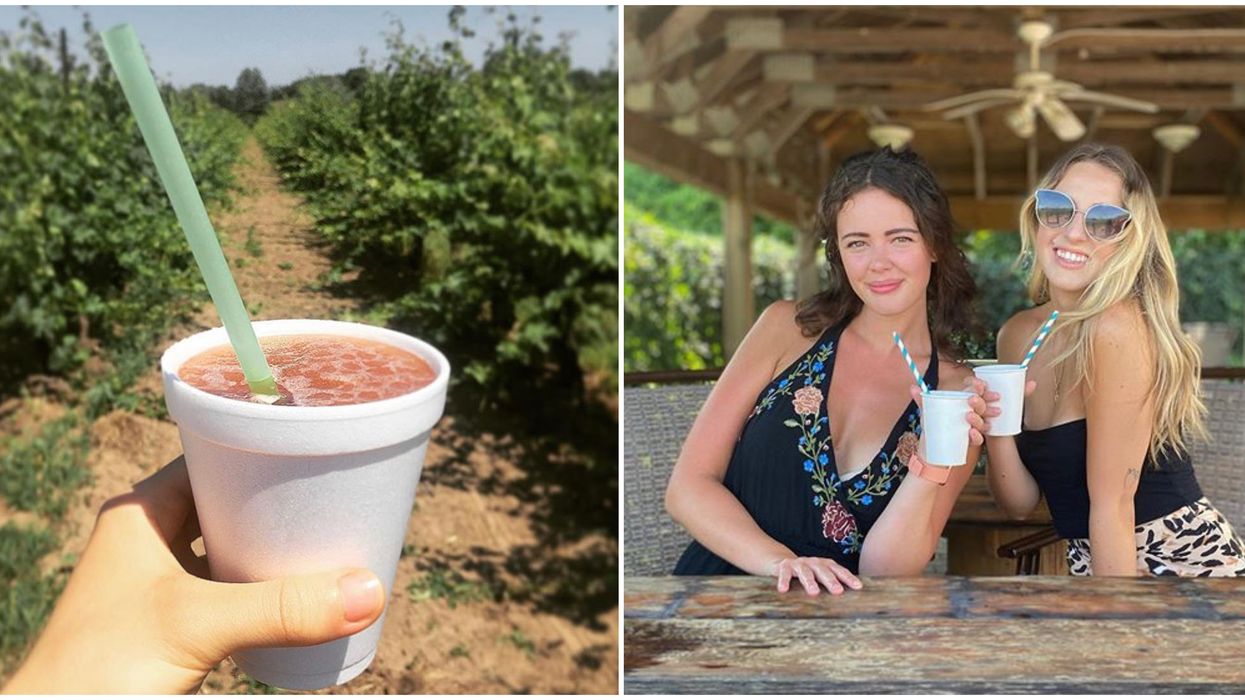 Ontario's Ice Wine Slushies Will Take Your Summer From Good To Grape
