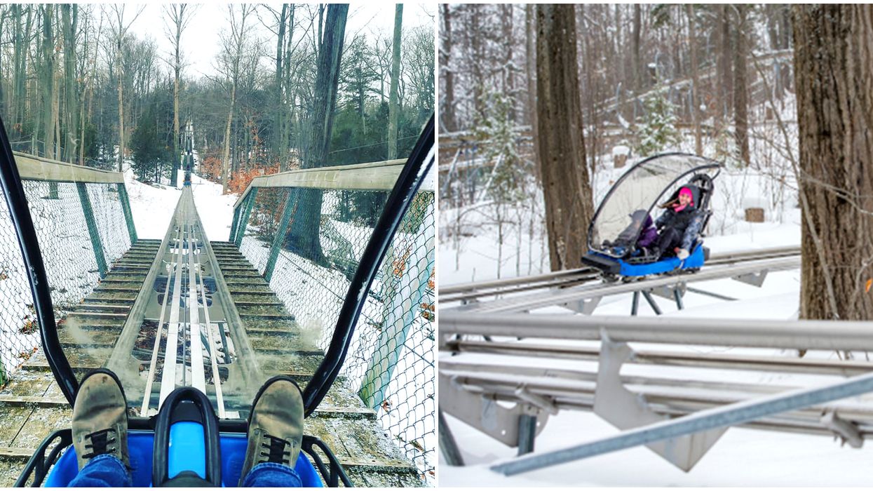 Ontario's Mountain Coaster Will Take You On A Wild Ride This Winter