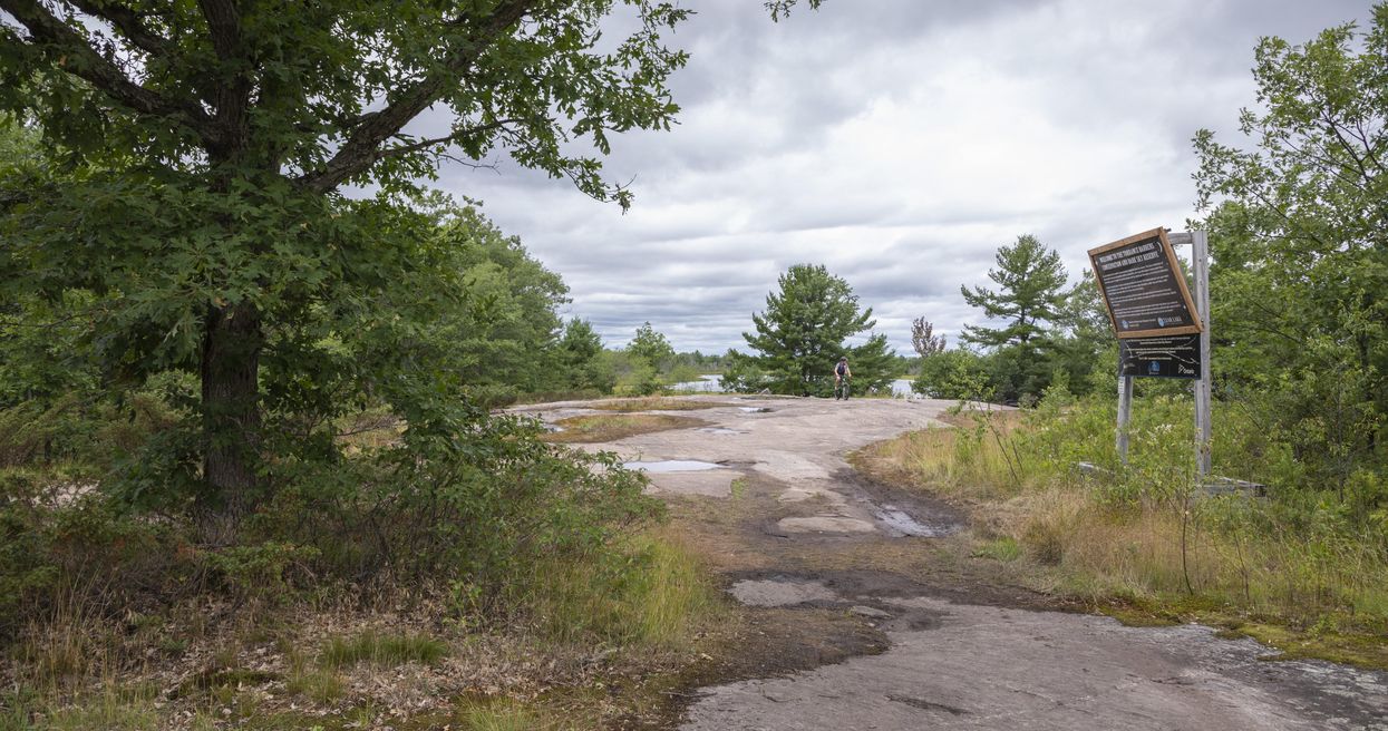 Ontario's Torrance Barrens Conservation Reserve Is Being Trashed By Visitors