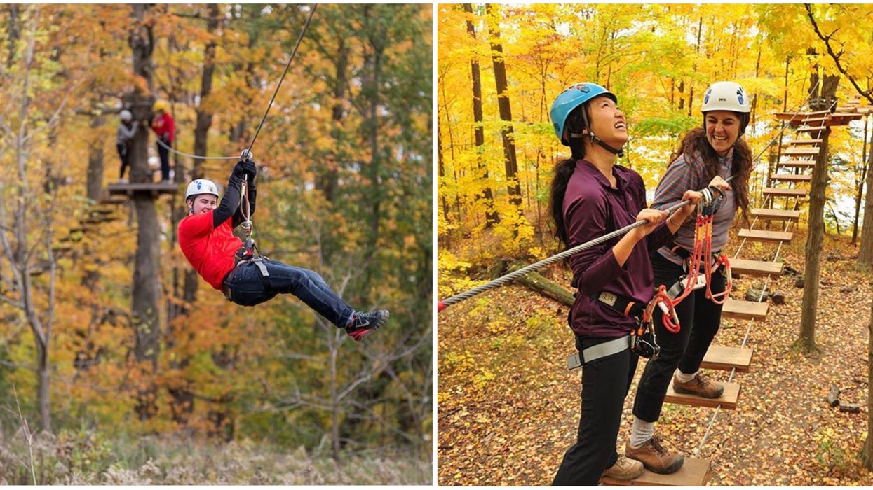Ontario's Treetop Walks Are The Perfect Way To Enjoy Fall Colours