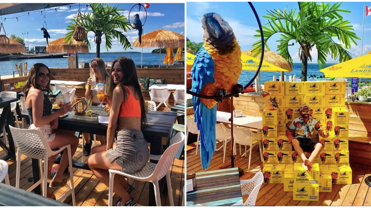 Ontario's Tropical Patio Will Make You Feel Like You're Dining At A Beach Resort