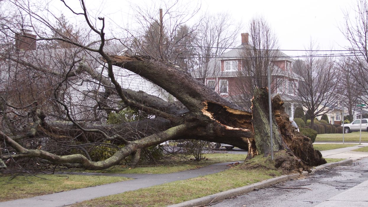 Ontario's Weather Forecast is Going To Get Even More Nightmare Winds This Week