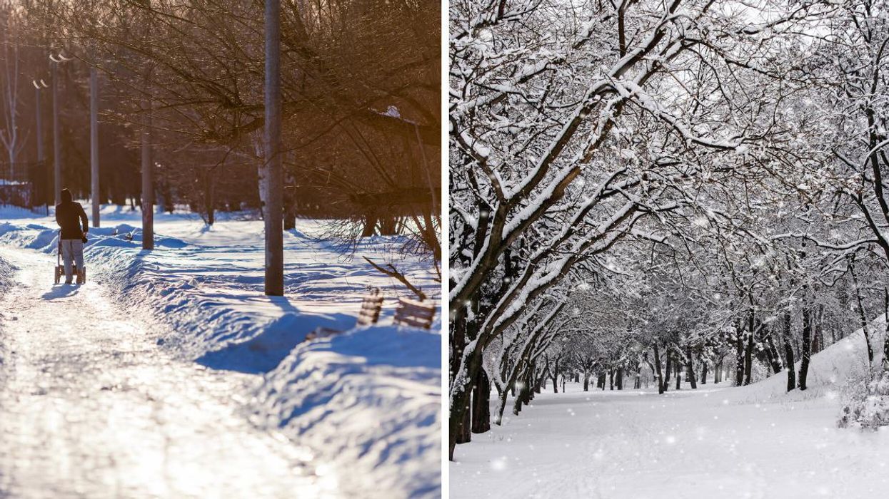 Ontario's Weather Is Going To Get Hella Snowy In Some Parts But It's Not All Bad News