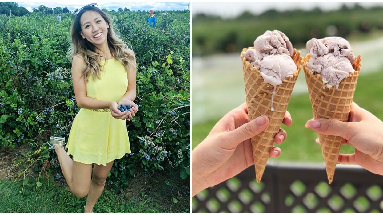 Ontario's Wilmot Orchards Blueberry Picking Is Officially Opening In August