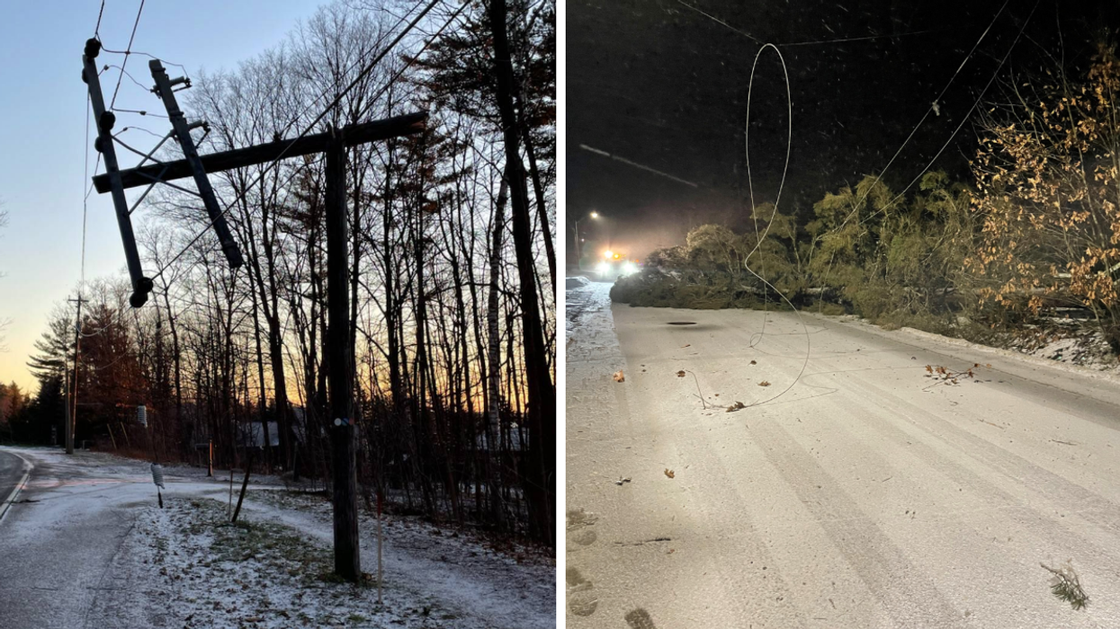 Ontario's Wind Storm Ripped Out Trees Last Weekend & The Photos Are Something Else