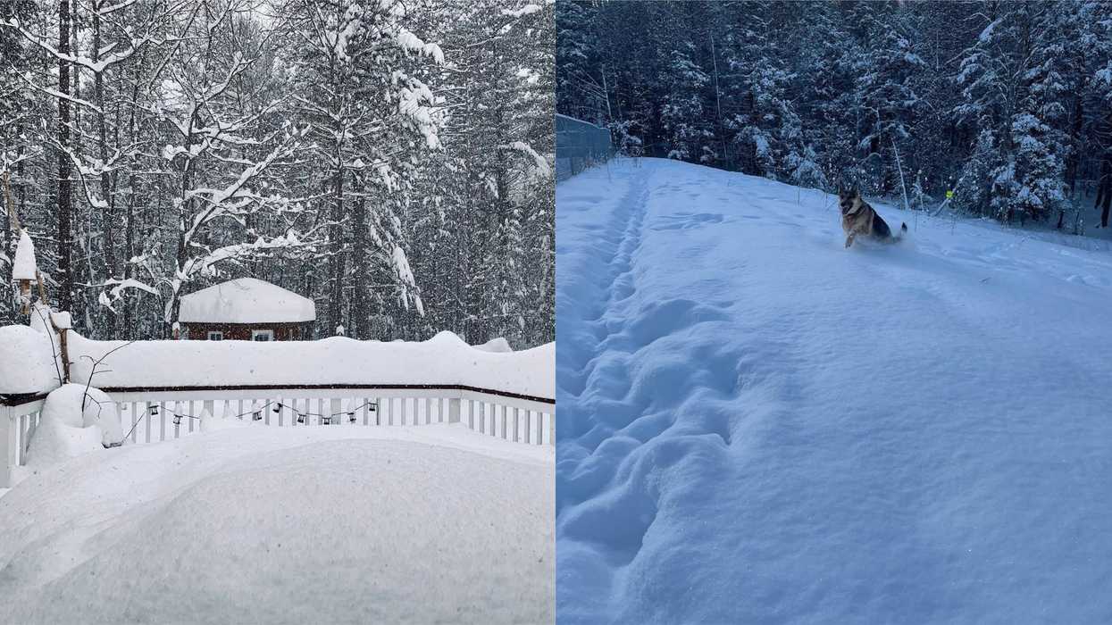 Ontario Snowstorm Has Southwestern Parts Of The Province Buried Under Up To 30 cm