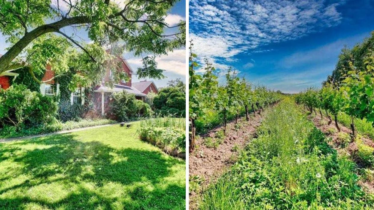Ontario Vineyard For Sale Lets You Sip Wine Everyday