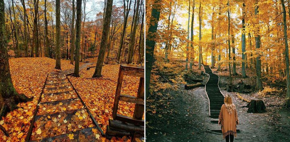 Ontario’s Secret Woodland Staircase Will Lead You Through A Colourful Paradise This Fall